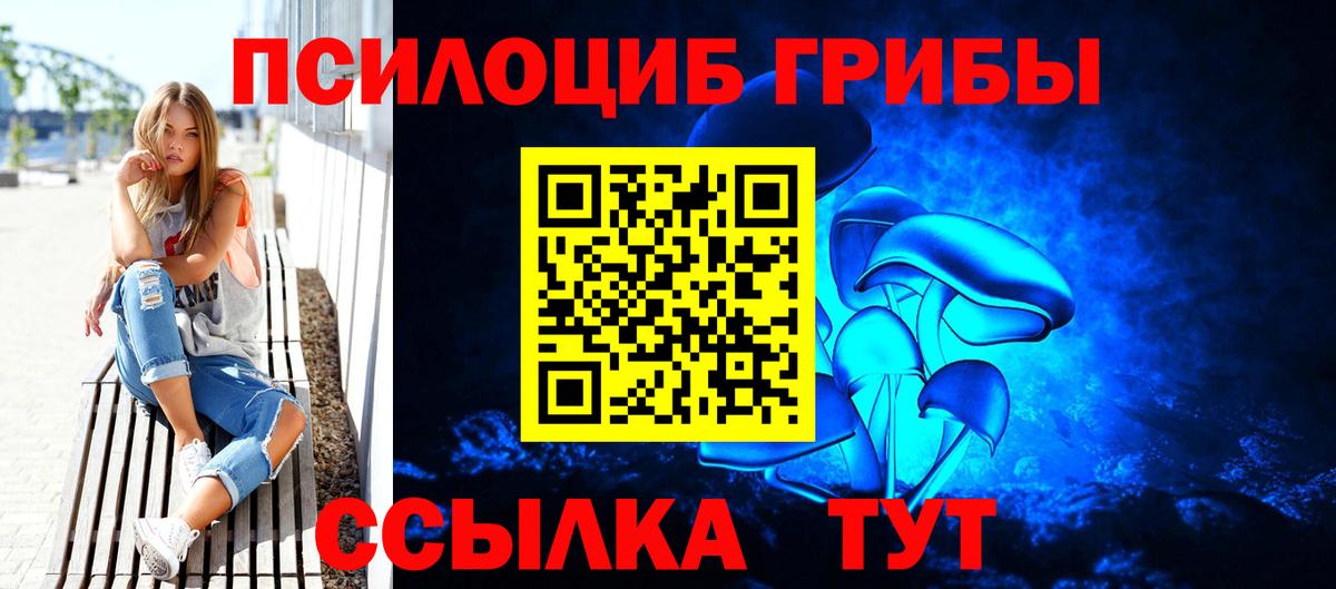 Шебекино  Псилоцибиновые грибы Psilocybine cubensis  Вход с VPN 